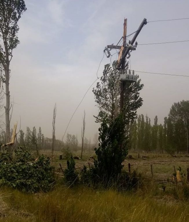 El Temporal Gener Da Os En Viedma Y Alrededores Corte De Luz Y Postes