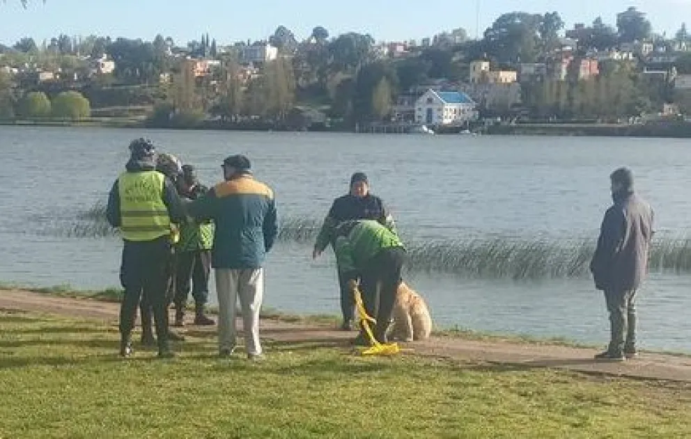 Agónico rescate de una mascota que estuvo expuesta al agua helada del río Negro
