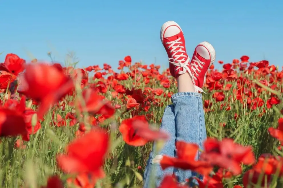 El día de la primavera no empieza hoy 21 de septiembre: ¿Cuándo comienza de manera oficial?