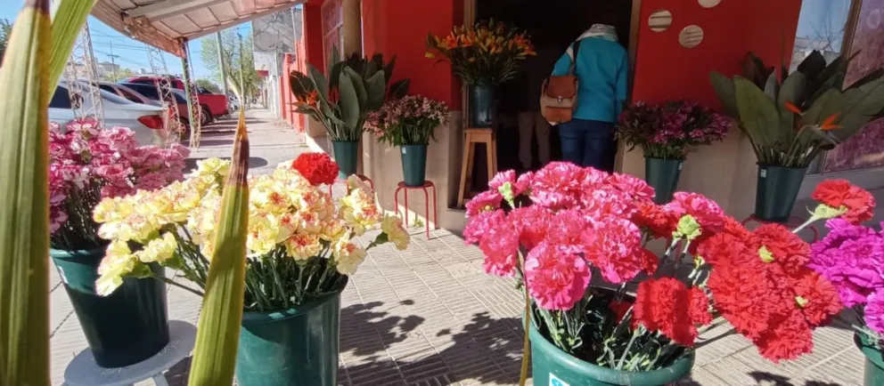 Llegó la primavera y se trabajó a tiempo completo en el negocio de las flores
