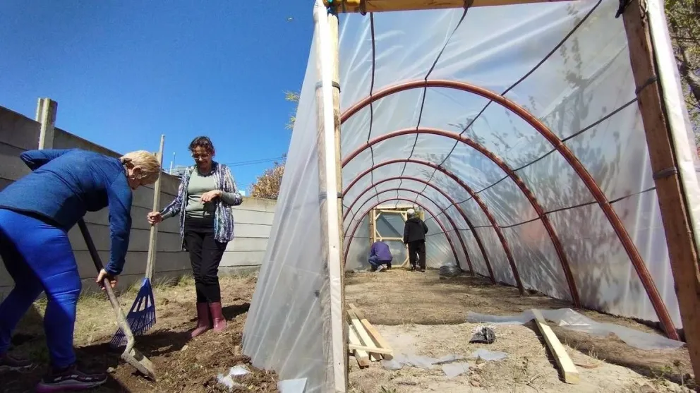 Invernadero escuela en El Cóndor: de que se trata este proyecto que ya se puso en marcha 