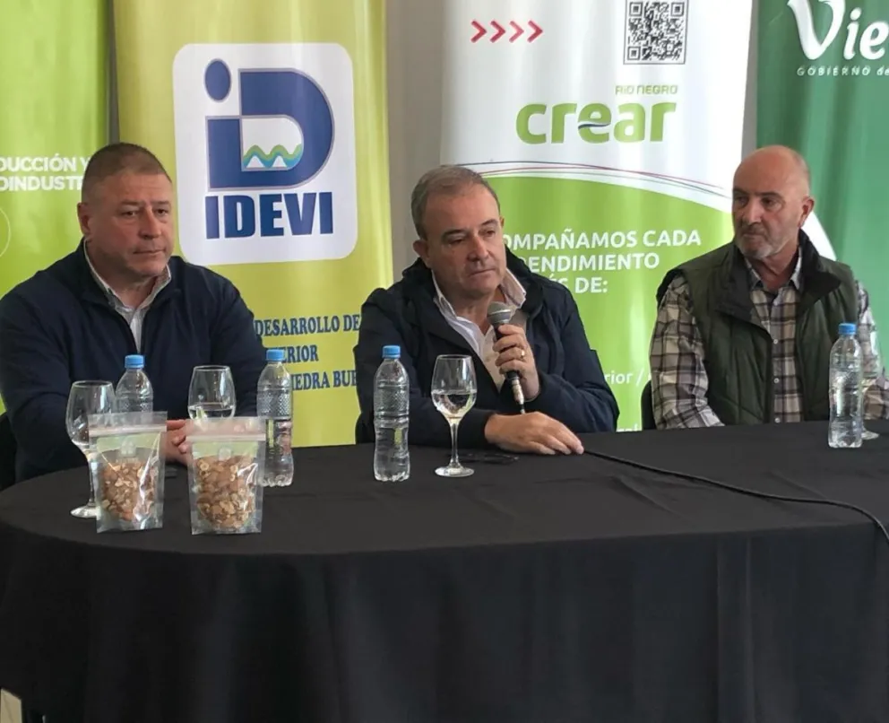 "Celebrar la Fiesta de los Frutos Secos es celebrar el esfuerzo”
