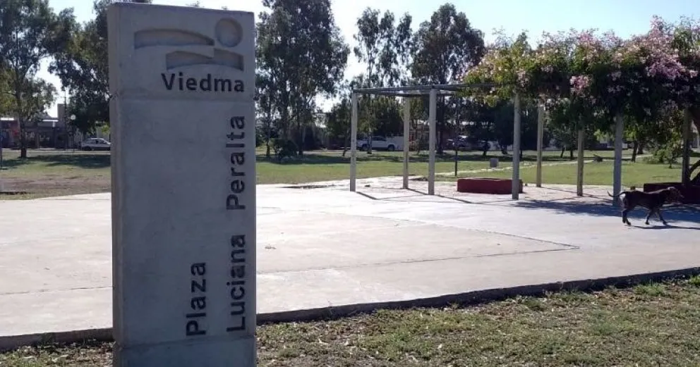 Viedma: le apuntó con un arma a un bebé para robarle a su mamá