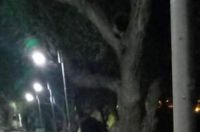 Denuncian pérdidas de electricidad en columnas de un paseo costanero
