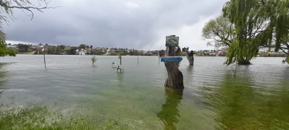 El río creció a niveles inimaginables del lado de Viedma