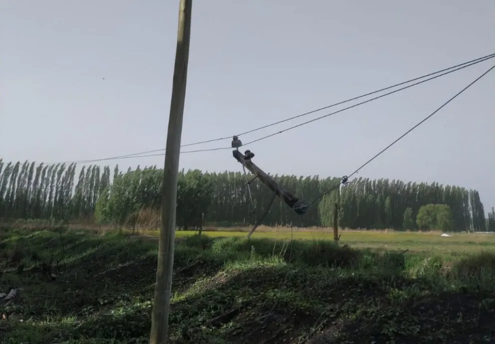El temporal de viento dejó un tendal de problemas con la luz 