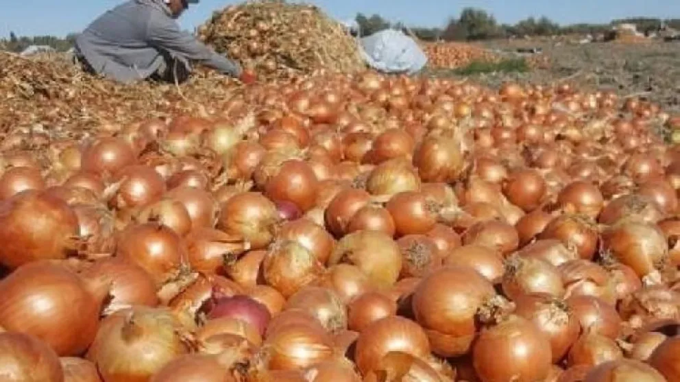 El siniestro data de casi cuatro años en una chacra. Foto archivo.