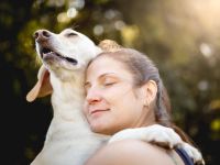 Día Nacional del Perro: ¿por qué se celebra cada 2 de junio?