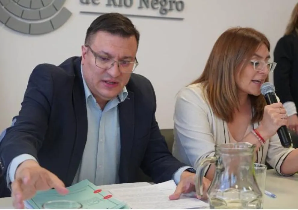 El nuevo Código Electoral está superando etapas en la Legislatura de Río Negro