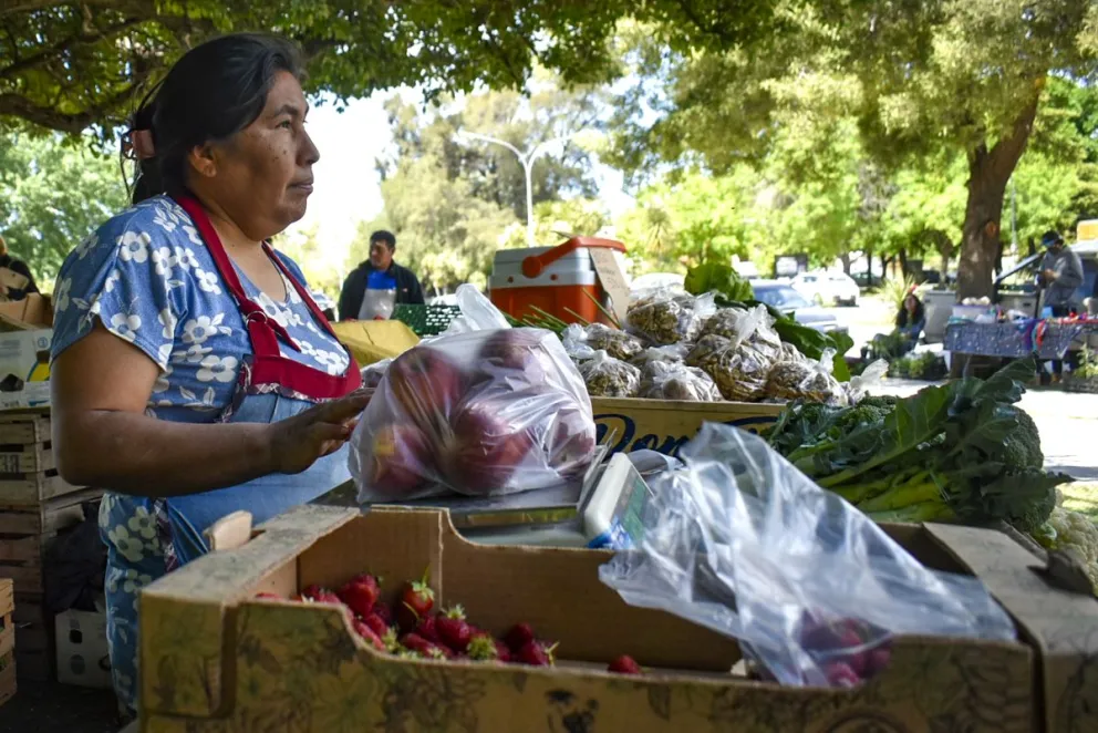 Observan un abrupto incremento de la canasta familiar en la Comarca