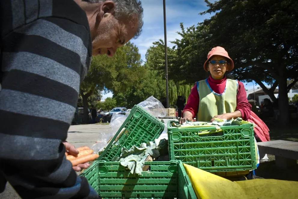Una política de lo común en la producción agroecológica.