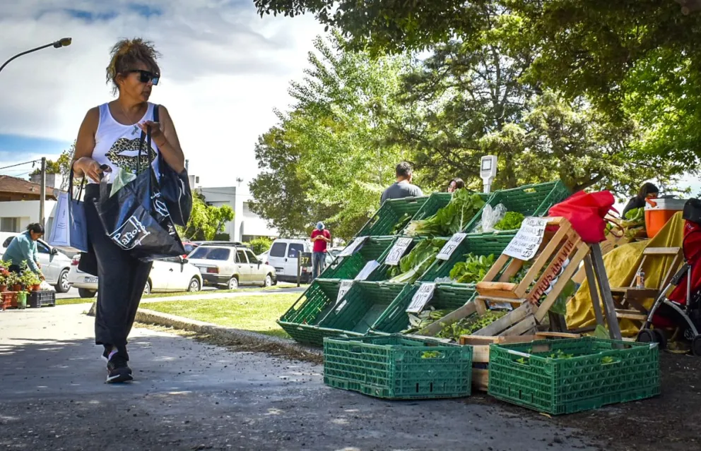 Las frutas y verduras de la economía popular, dos recursos para aliviar el bolsillo