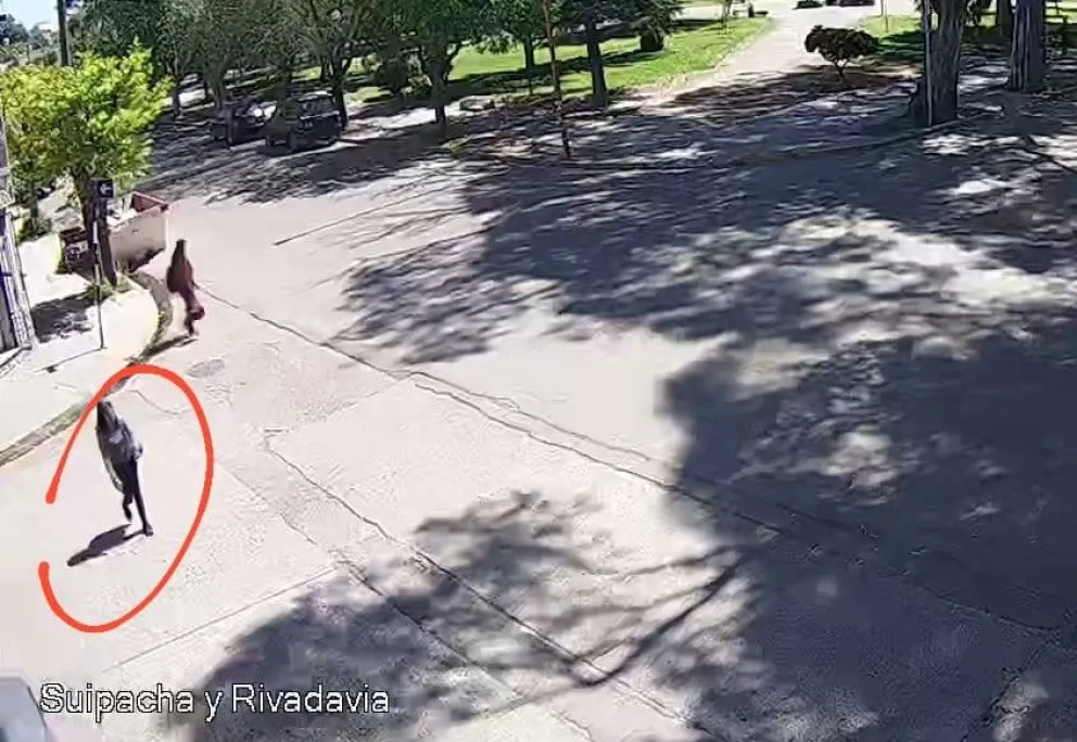Se sospecha que Camila Ailín Rodríguez estaría en Bahía Blanca