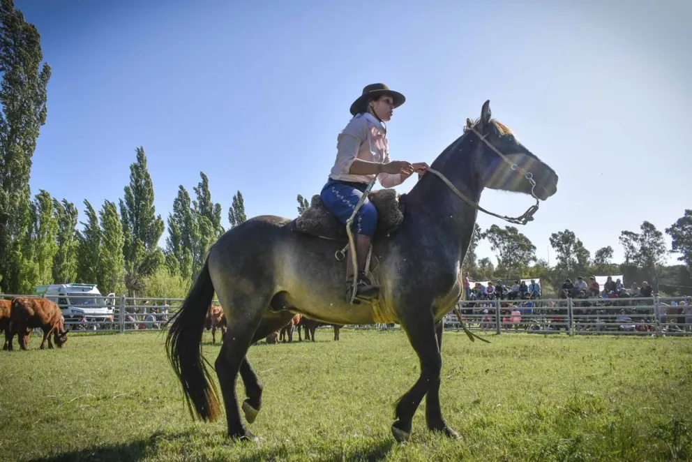 La cosecha se perdió pero los campos reverdecen