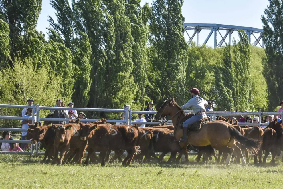 La Rural de Patagones está lista para la tradicional Expo Anual de la Comarca
