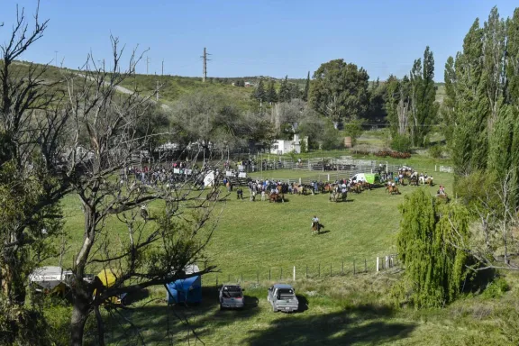 Avances en la ganadería del Partido de Patagones: tecnología, forraje y mesas de competitividad