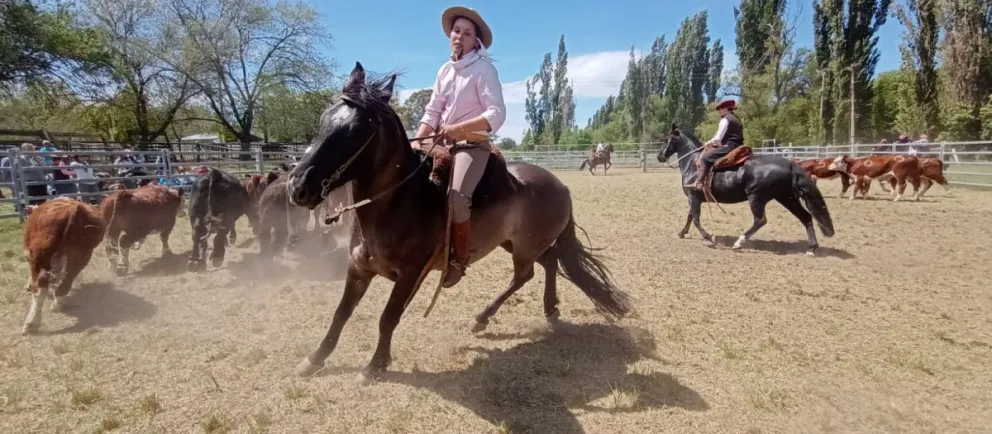 El aparte campero fue la gran atracción de la 3° Expo de Caballos Criollos