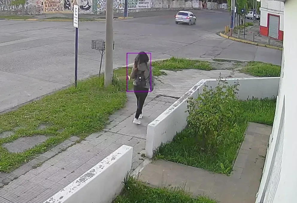 Sospechan que una pareja está reincidiendo en los actos delictivos