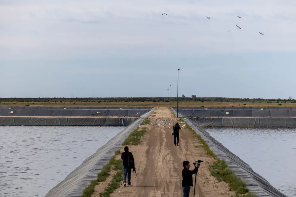 Detalles de la obra de saneamiento más grande del Plan Castello