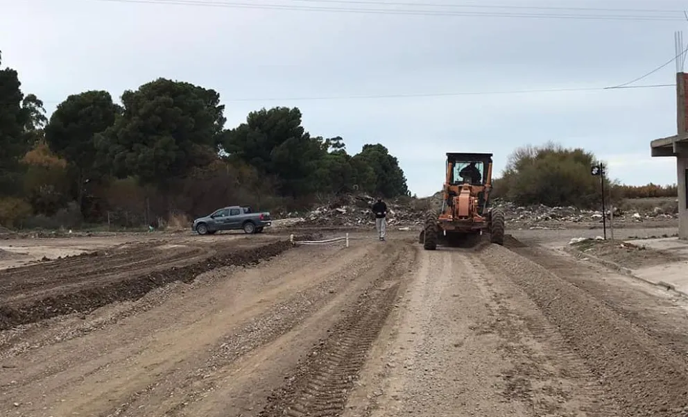 Están matando perros en Viedma