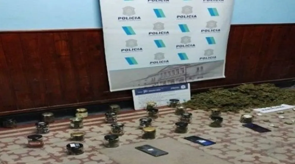 Detuvieron a una mujer tras un allanamiento en Patagones por el incendio en un vivero: “Es un verdadero disparate” 