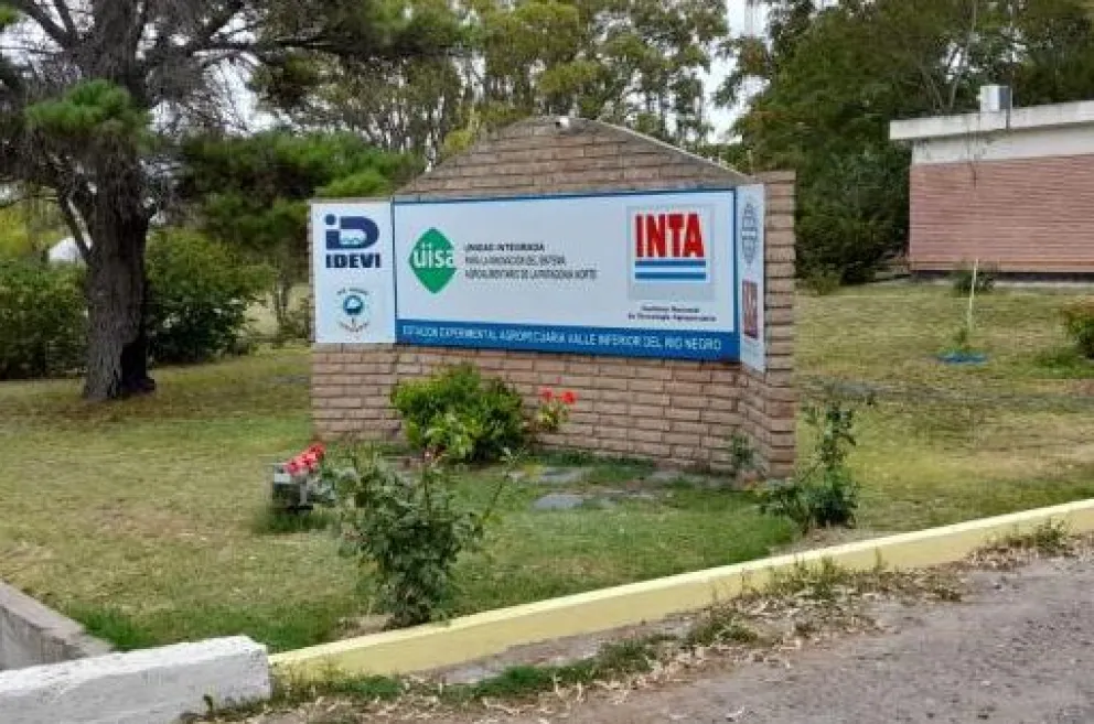 Ingreso al INTA y las huellas de los delincuentes están en las inmediaciones de un galpón. Foto archivo.