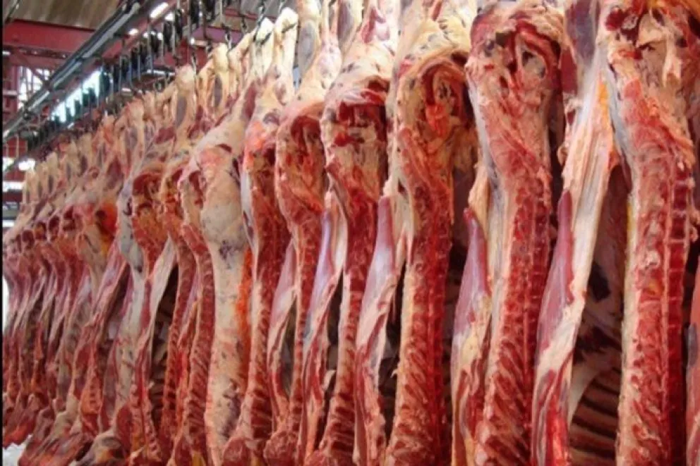Argen Carne trae lo mejor de la producción a Viedma y se pone en vidriera