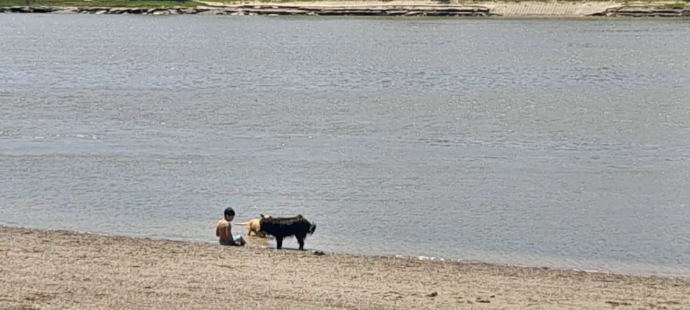 Weretilneck consideró que es “poco serio” hablar del uso de agua del río Negro sin un estudio técnico