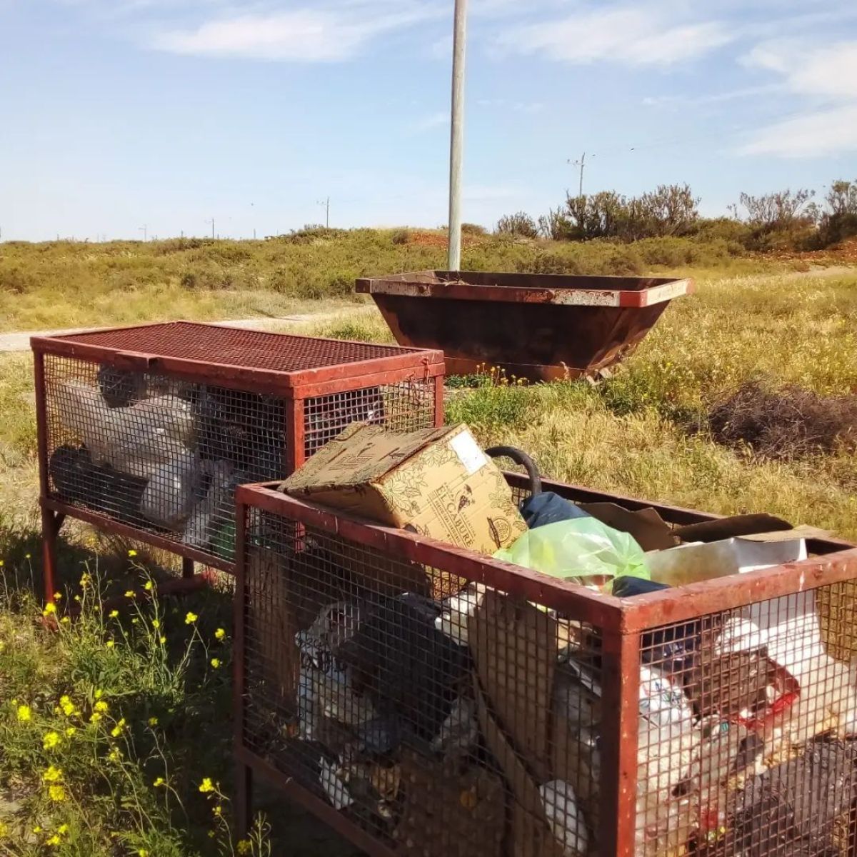 Los vándalos tomaron como campo de acción a La Lobería