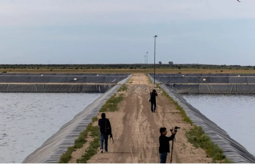 Destacan mejoras en el sistema cloacal de Viedma