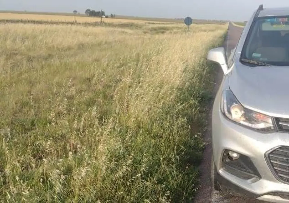 Ruta 3: para evitar futuros inconvenientes piden el desmalezamiento de las banquinas 