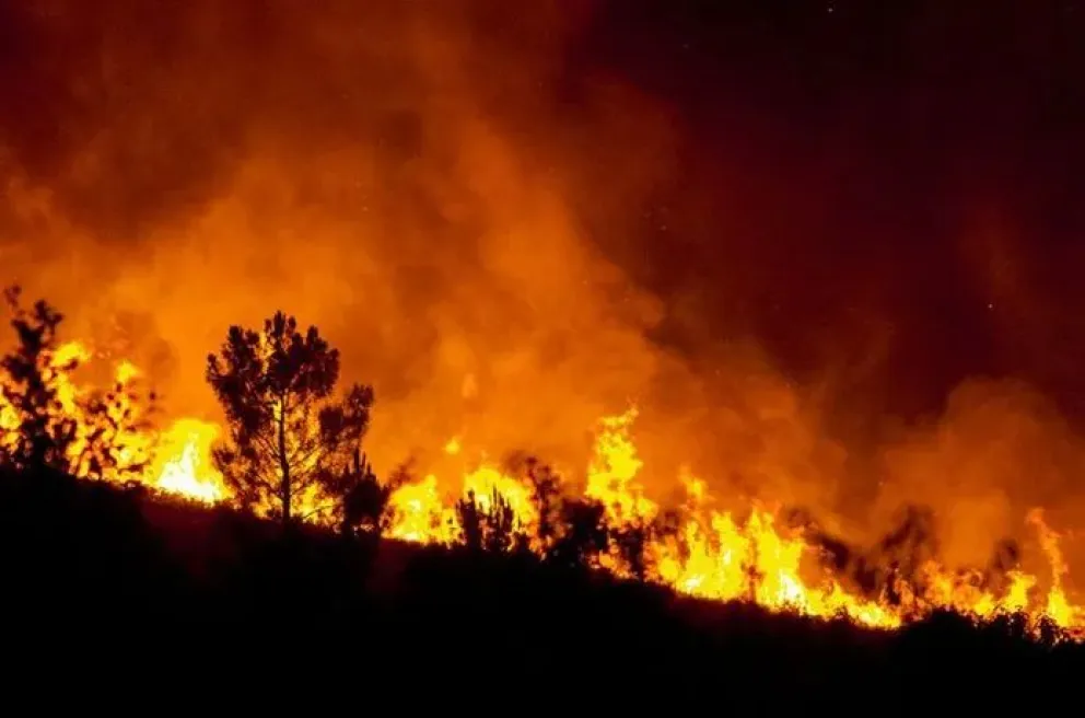 Incendio devastador en la zona andina cercana a Río Negro. Foto archivo.