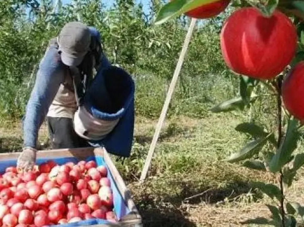 Trabajadores “golondrinas”: Río Negro firmó un acuerdo con Santiago del Estero