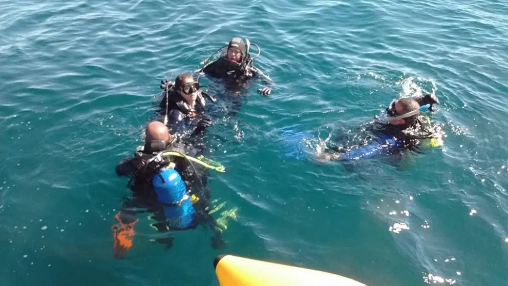 Hasta la natación con los lobos asoma como nuevo recurso turístico