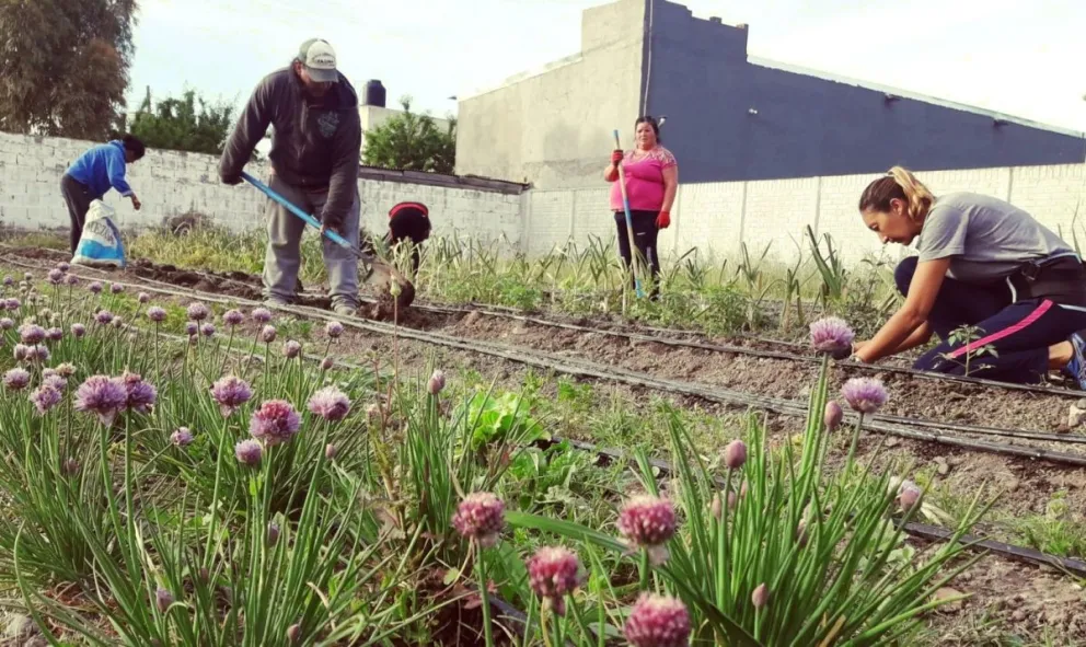 Otra feria que contribuye con los bolsillos que enfrentan la inflación