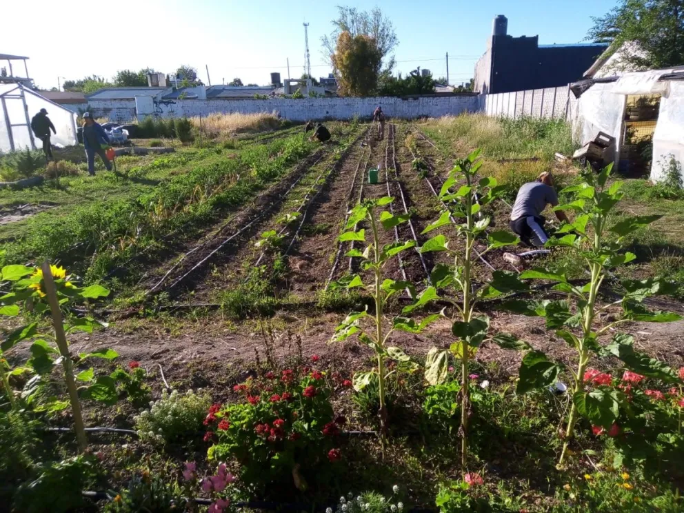  Todas las actividades en la sede de la calle 7 de Marzo 940.