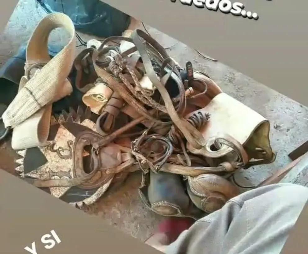 La tristeza de un jinete al que le robaron en Viedma: “Quiero que me devuelvas una parte de mi vida”