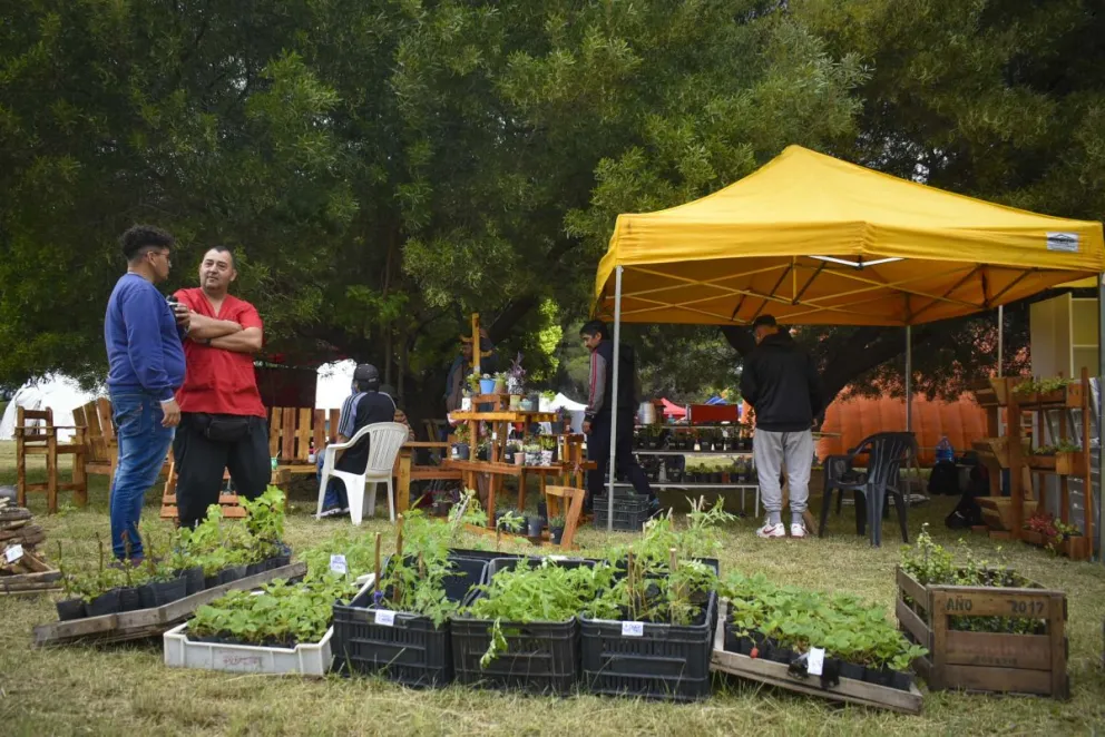 Se había anunciado para noviembre de este año, pero eso finalmente no ocurrirá.