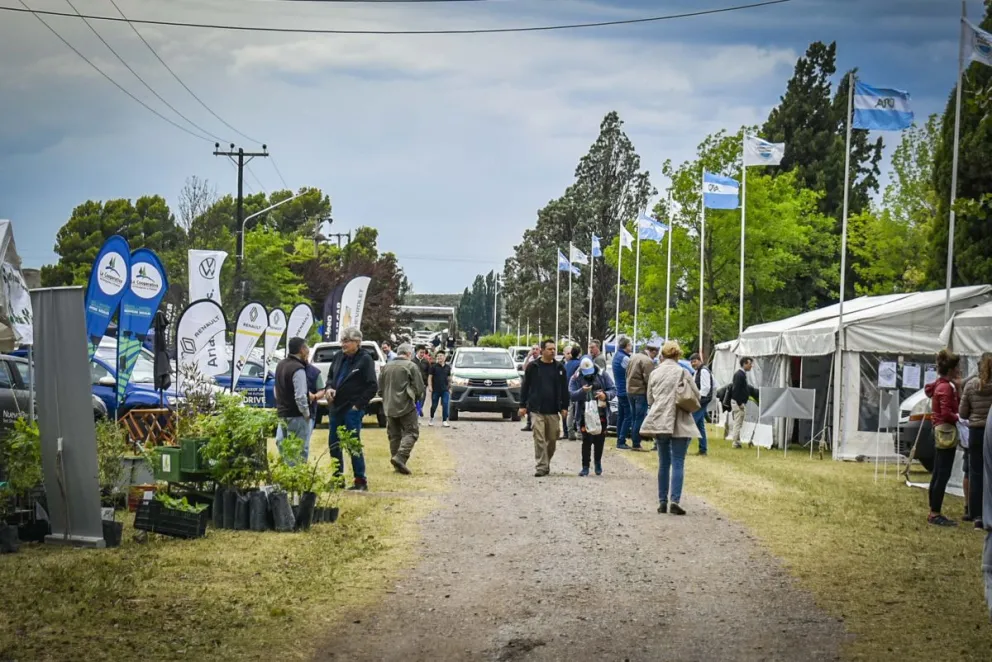 Vuelve un evento que formaba parte del calendario inamovible de fiestas, ferias y exposiciones.  