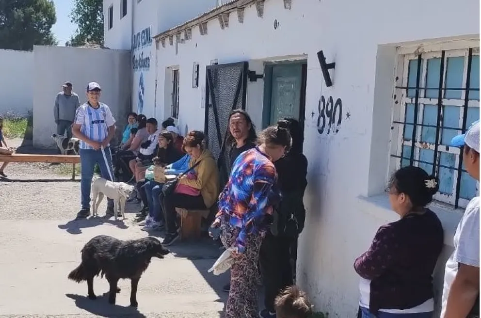 El municipio de Viedma está a “full” con las castraciones de mascotas