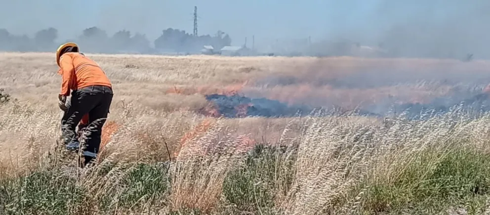 Un descuido, sumado al calor y el viento provocaron dos incendios de pastizales en el casco urbano