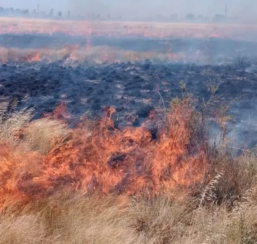 Las quemas controladas están prohibidas, pero siempre hay irresponsables que las realizan