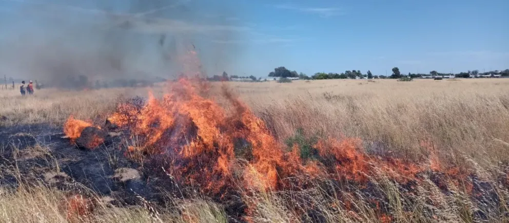El invierno llovedor hace que la temporada de calores sea riesgosa.