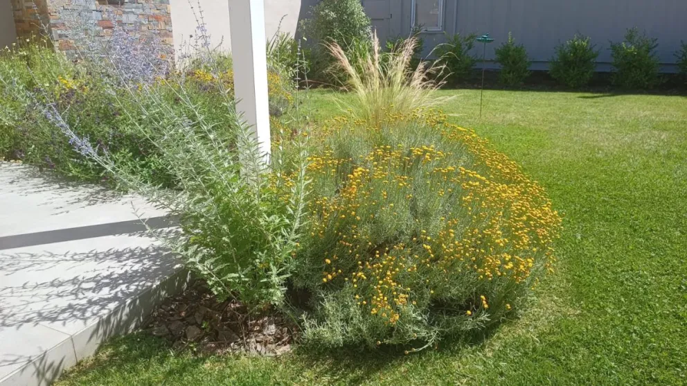 Viviendas más acogedoras que nunca: una decoradora de jardines usa plantas autóctonas