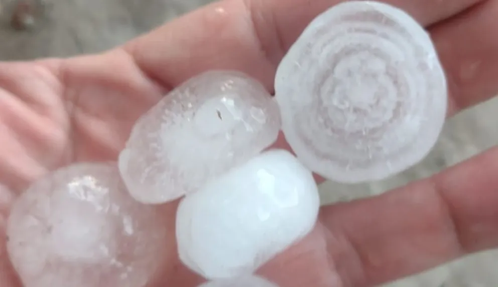 Salió el perdón impositivo para actividades productivas afectadas por cuestiones climáticas