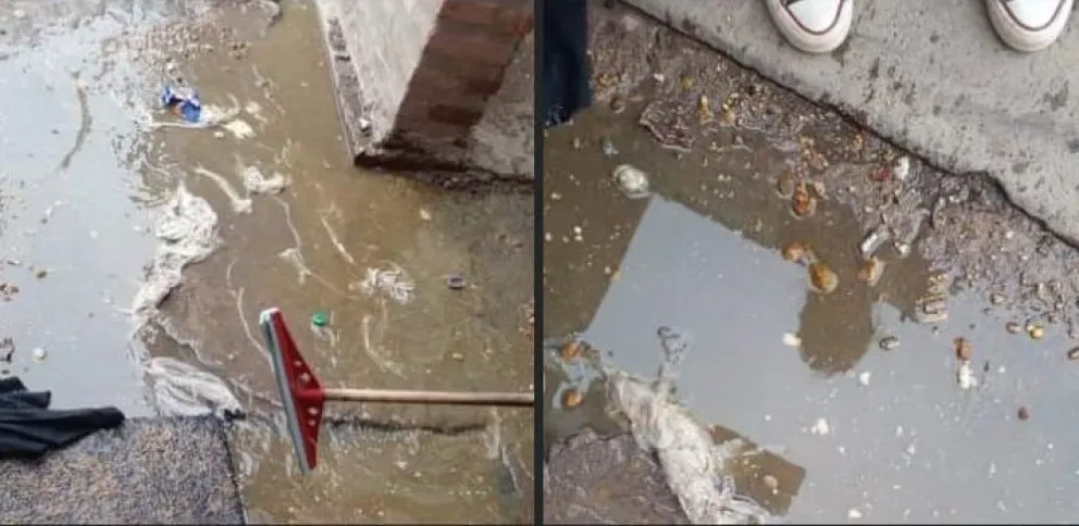 Una familia vive con materia fecal adentro de su casa y ya no saben qué hacer