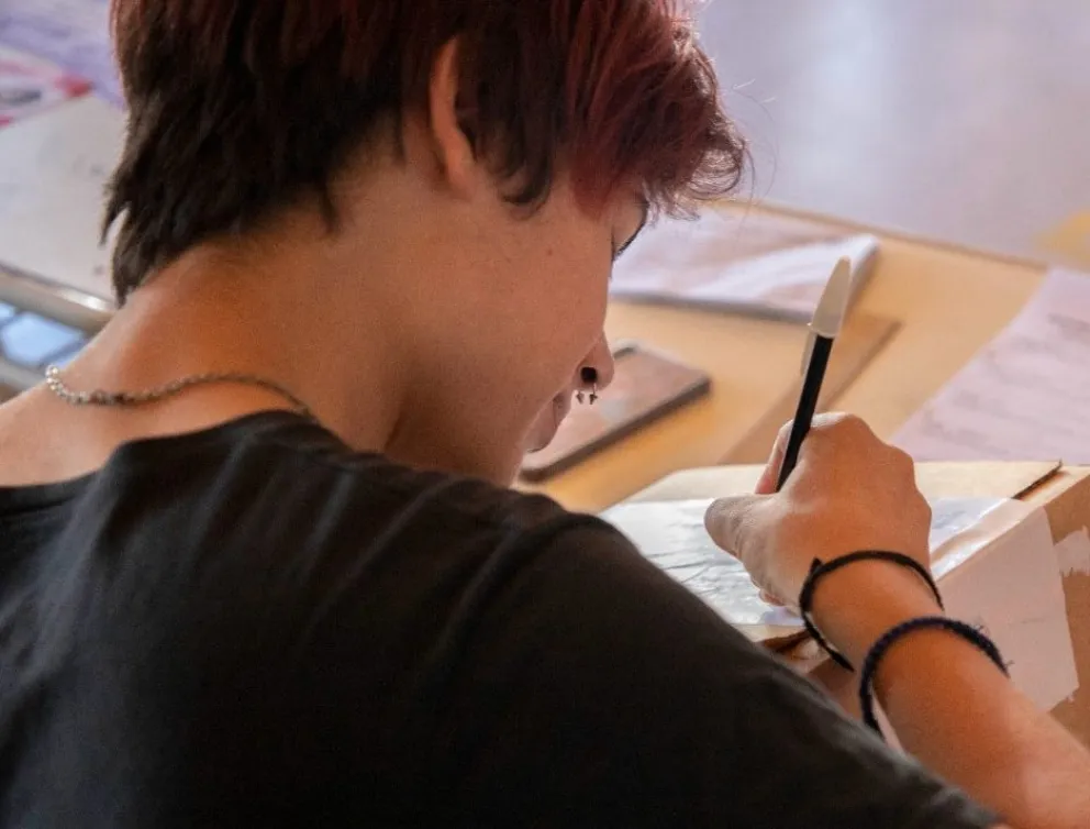 Presentan el programa "Mi voto cuenta" a estudiantes secundarios de Viedma