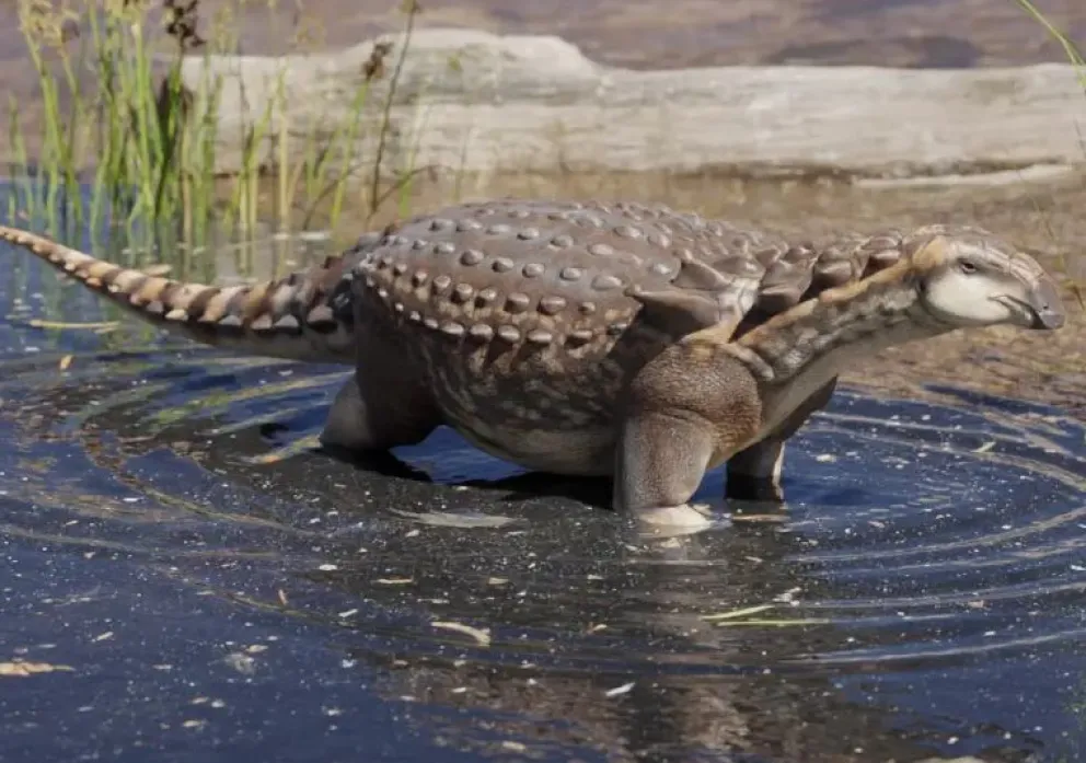 Paleontología: el "Patagopelta cristata" se suma a la familia de dinos rionegrinos