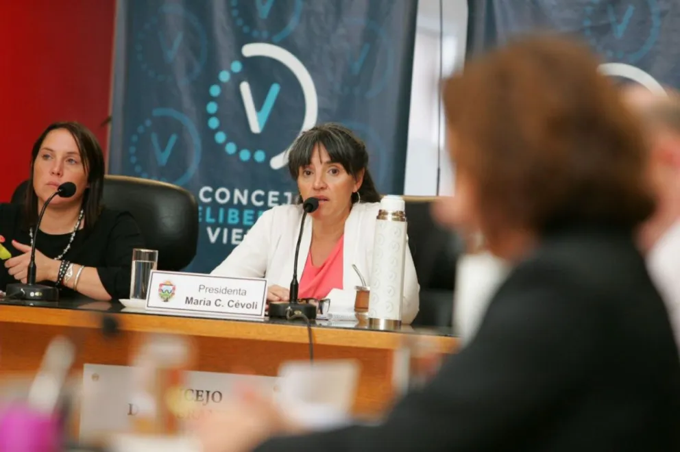 El Concejo analizó la compra de un horno para un nuevo crematorio y cámaras de seguridad