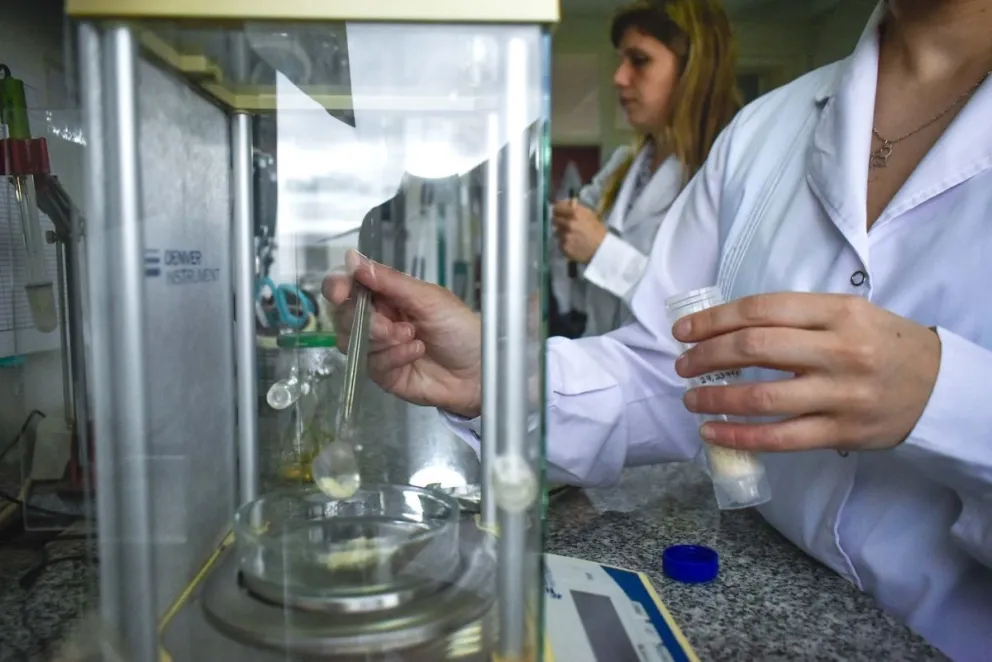 Leche de amaranto: un aliado ideal para combatir tumores cancerígenos